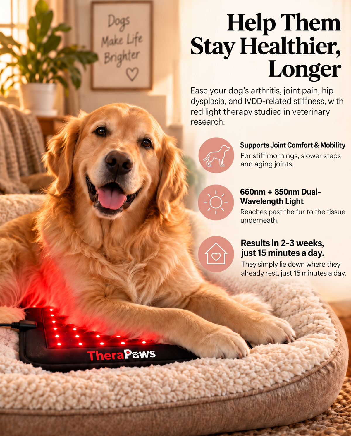 Renew™ Red Light Therapy Pet Mat — Fits Any Bed