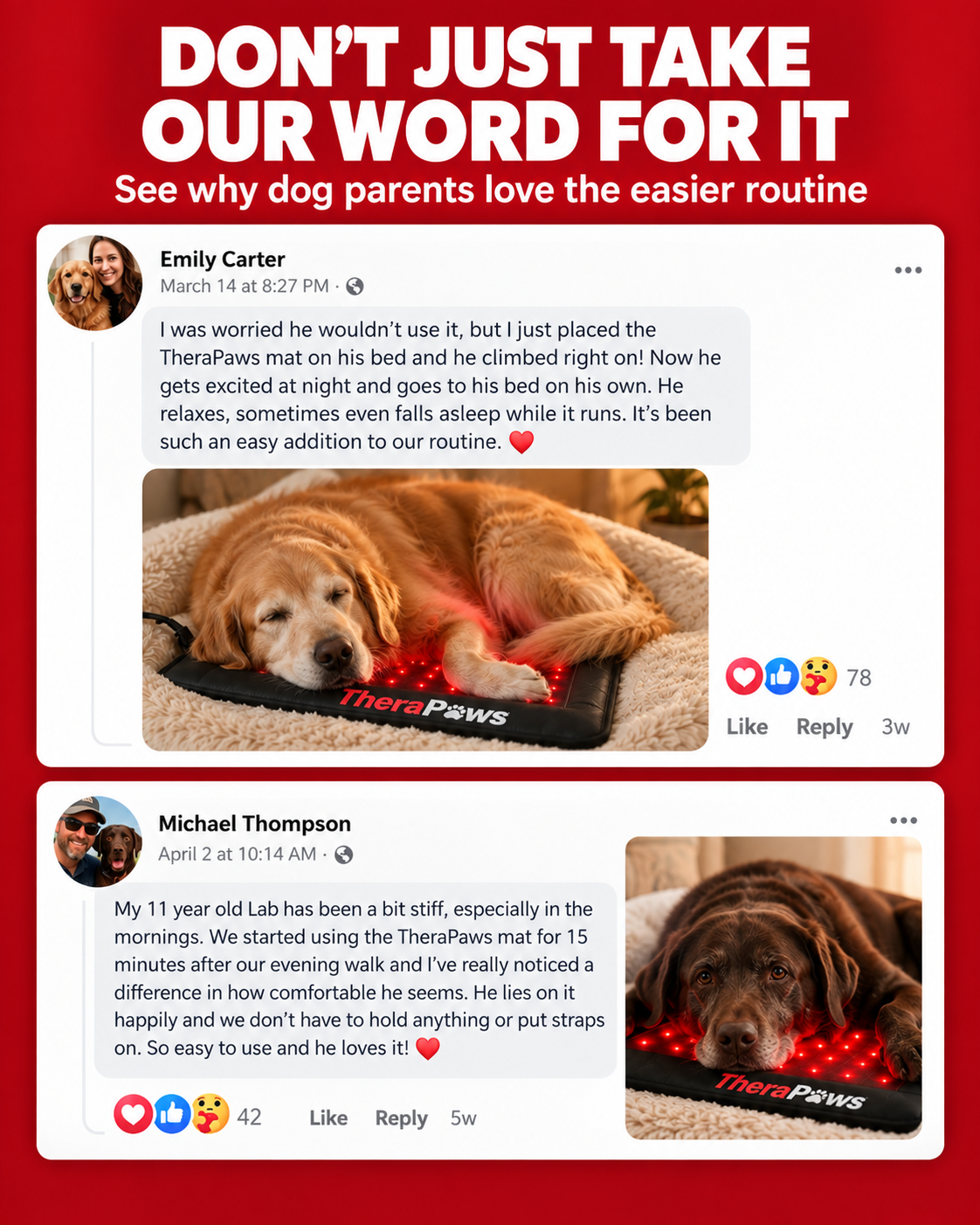 Renew™ Red Light Therapy Pet Mat — Fits Any Bed