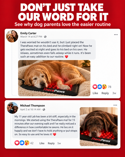 Renew™ Red Light Therapy Pet Mat — Fits Any Bed