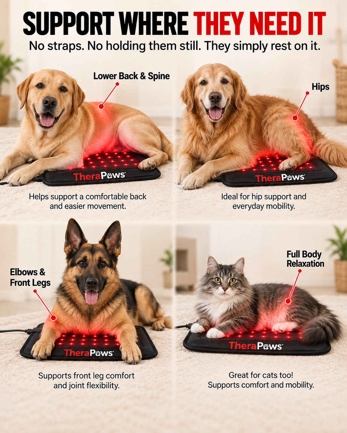 Renew™ Red Light Therapy Pet Mat — Fits Any Bed